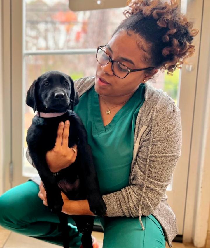 Cat & Dog Veterinarians Experienced Veterinarians in Richmond